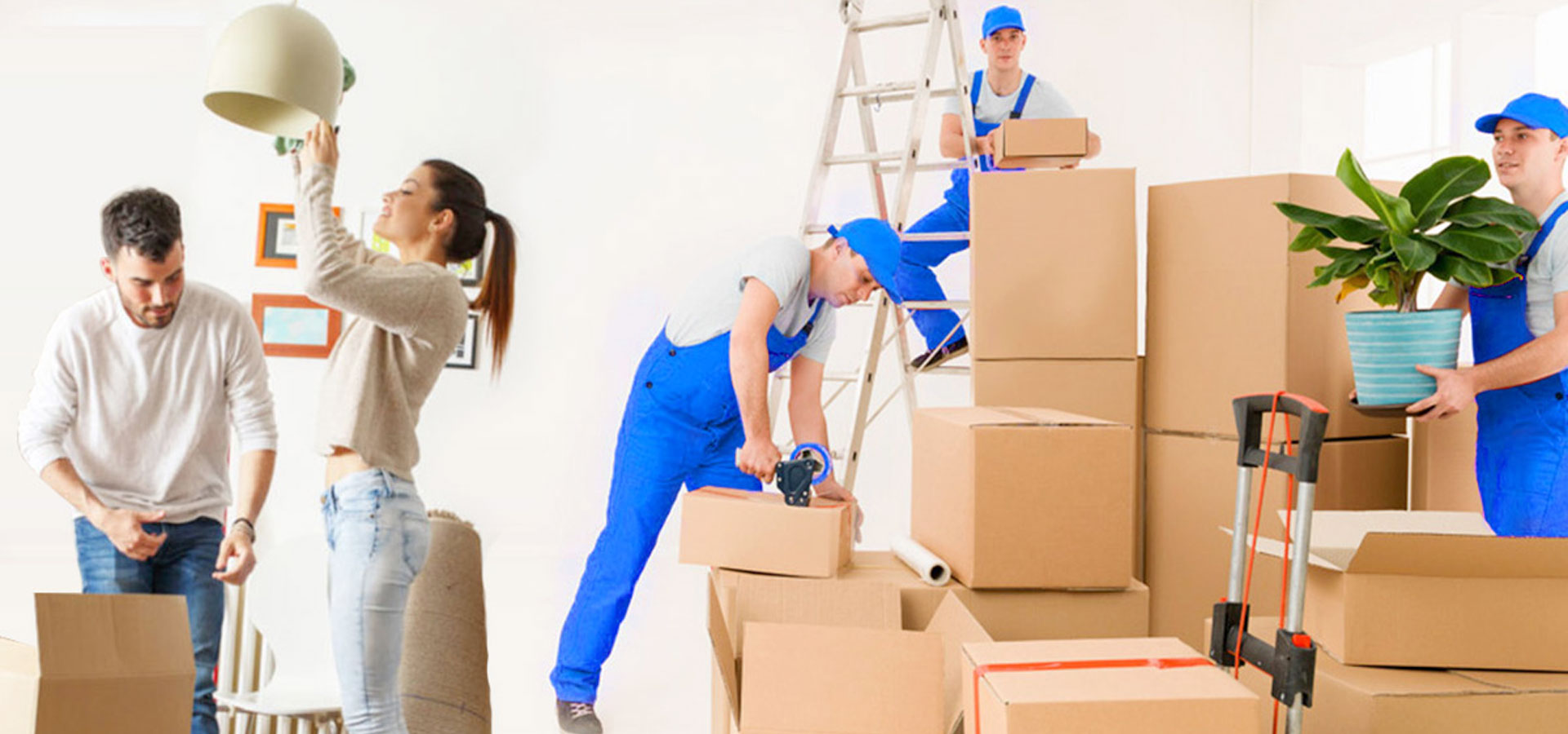 Dosti Packers and movers 3